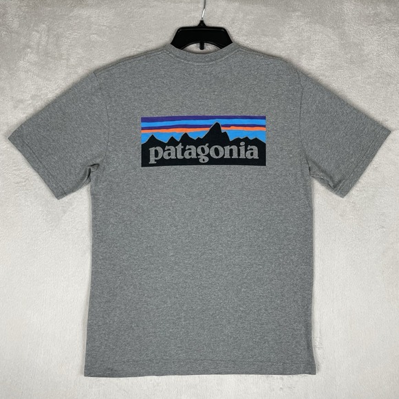 Patagonia Gray Short Sleeve Tee - Picture 1 of 7